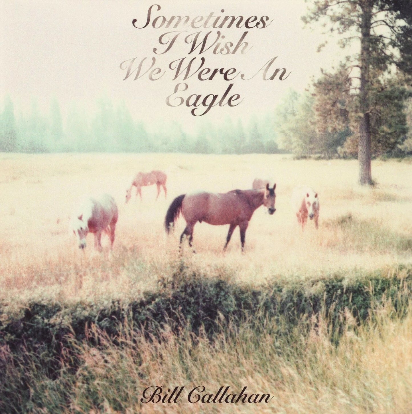 Bill Calahan - Sometimes I Wish We Were an Eagle LP