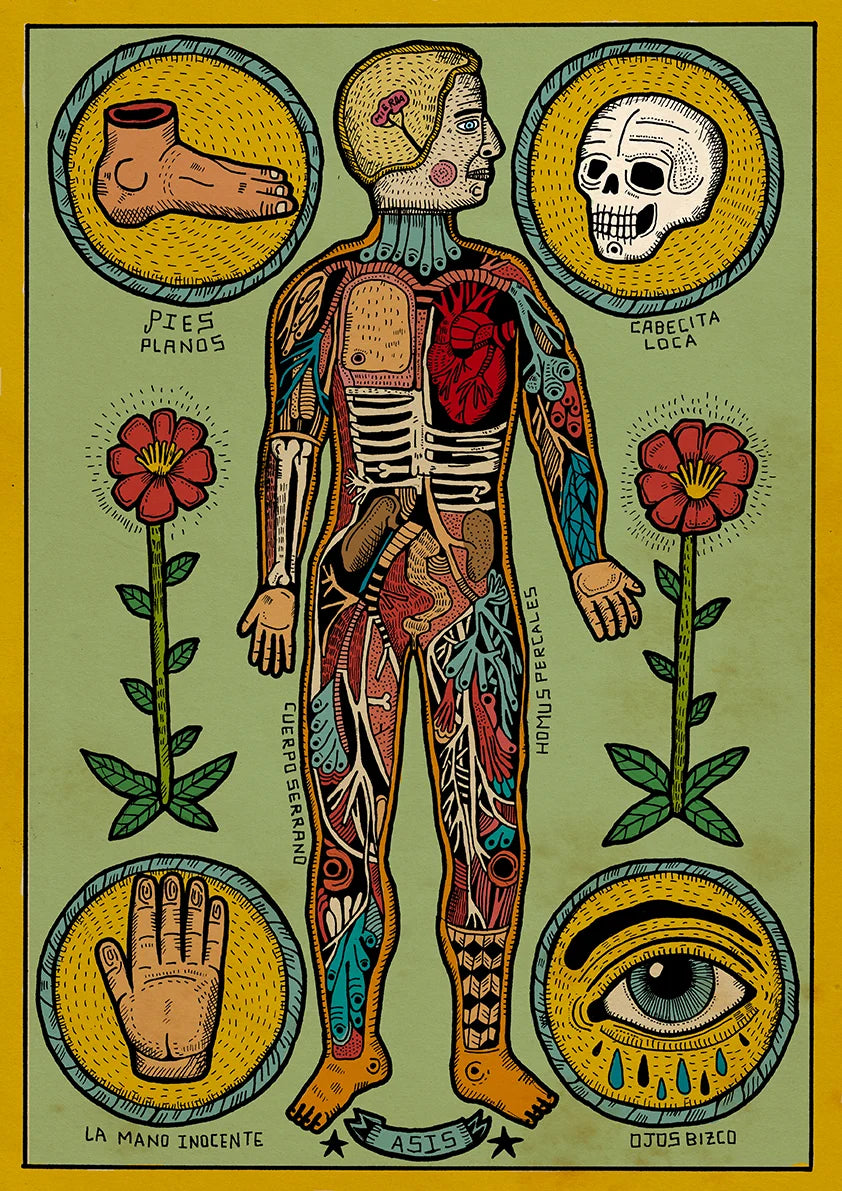 Anatomia de un cuerpo sesi