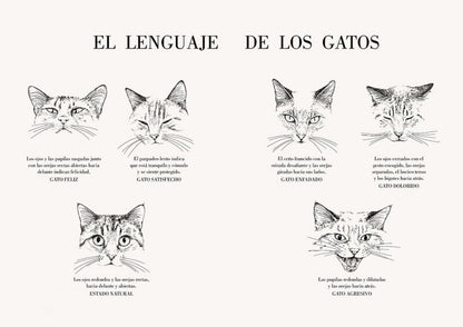 Historia de un gato | Laura Agustí