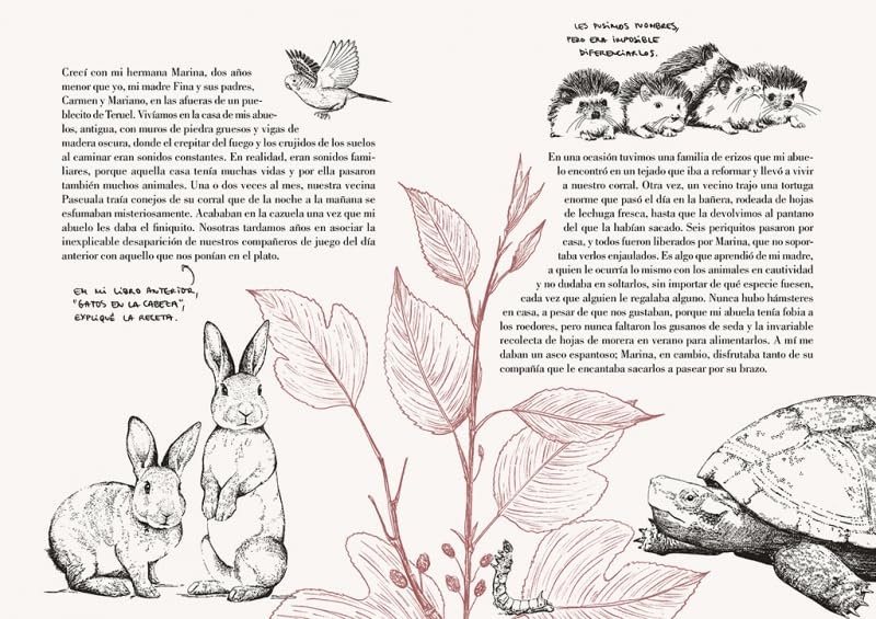 Historia de un gato | Laura Agustí