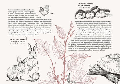 Historia de un gato | Laura Agustí