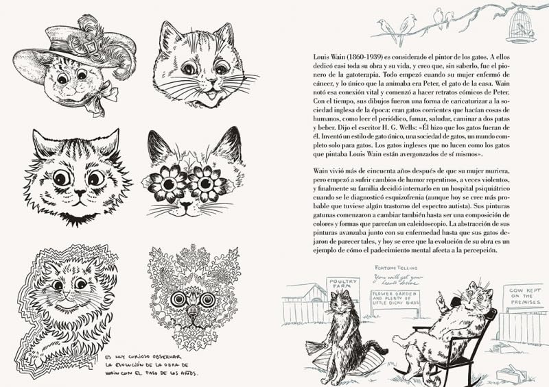 Historia de un gato | Laura Agustí