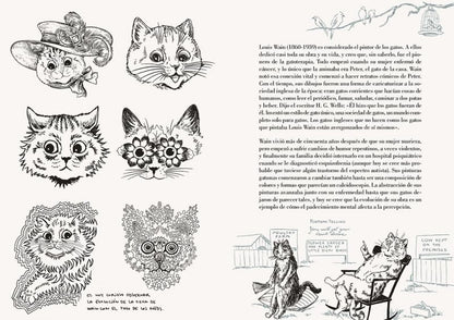 Historia de un gato | Laura Agustí