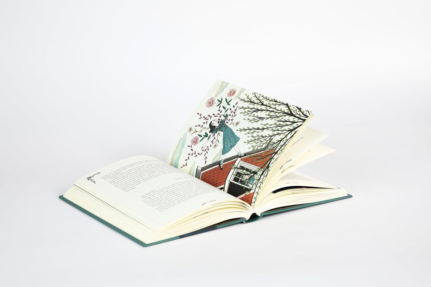 Diario de Anne Frank | Ilustrado por María Hesse