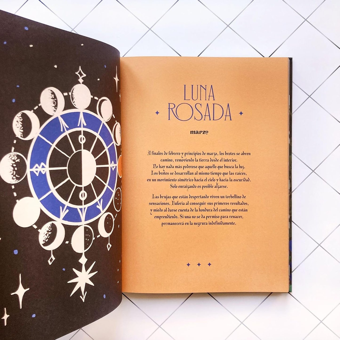 La vida secreta de las brujas | Sofía Rhei, Ana Müshell