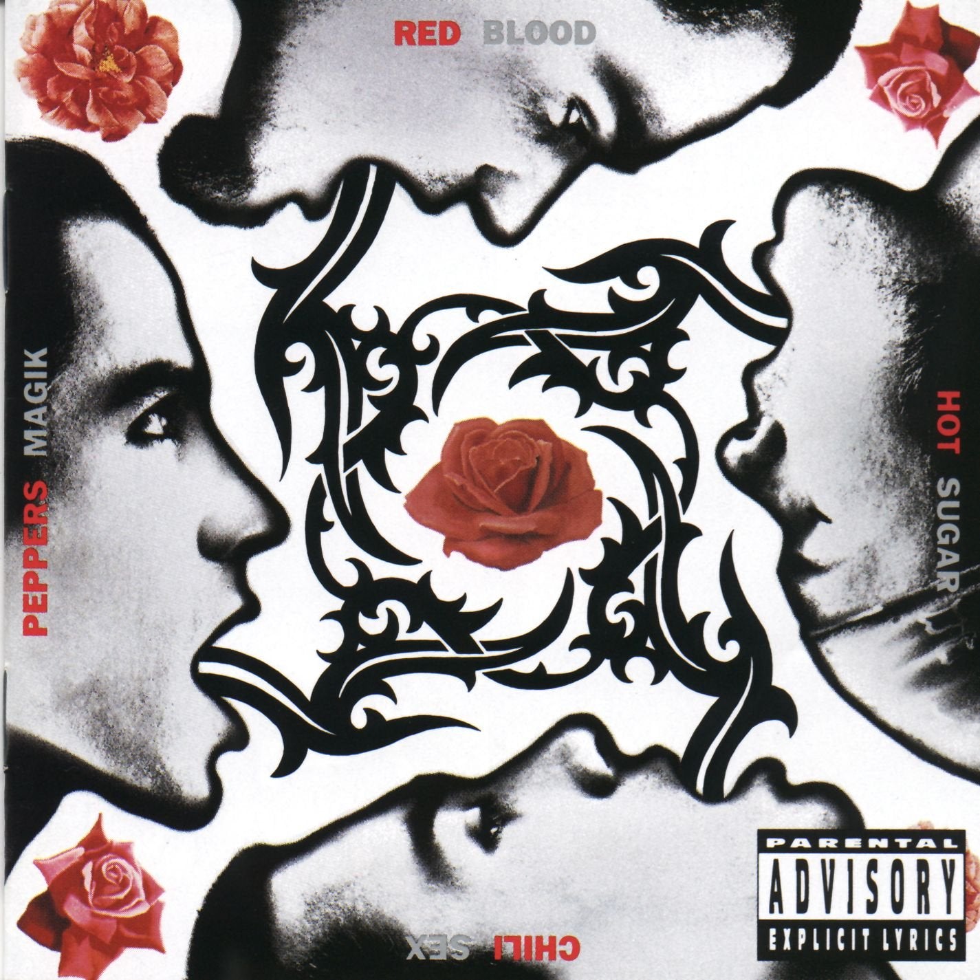 Red Hot Chilli Peppers - Blood Sugar Sex Magik 2LP