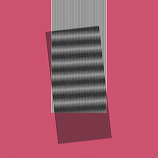 Hot Chip - Why make sense LP