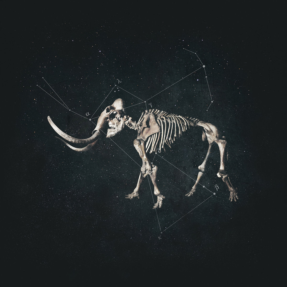 Animic - Hannibal LP