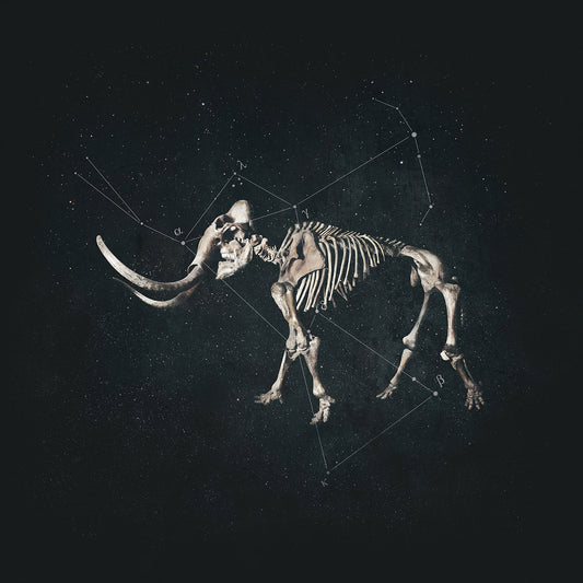 Animic - Hannibal LP