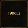 Jungle - Jungle LP