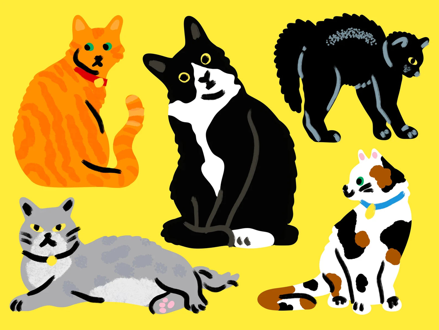 Gatos