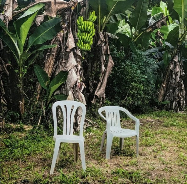 Bad Bunny - Debí Tirar Más Fotos LP